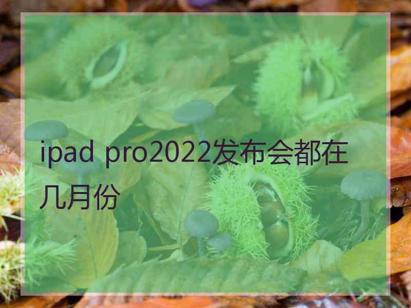 ipad pro2022发布会都在几月份