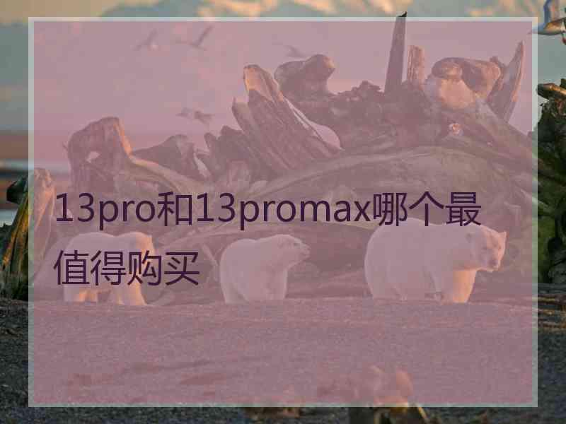 13pro和13promax哪个最值得购买