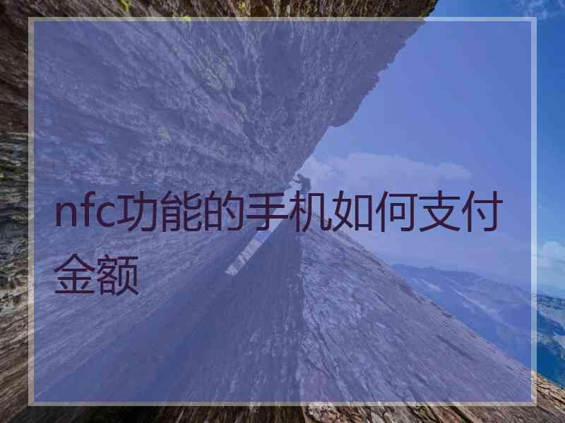 nfc功能的手机如何支付金额