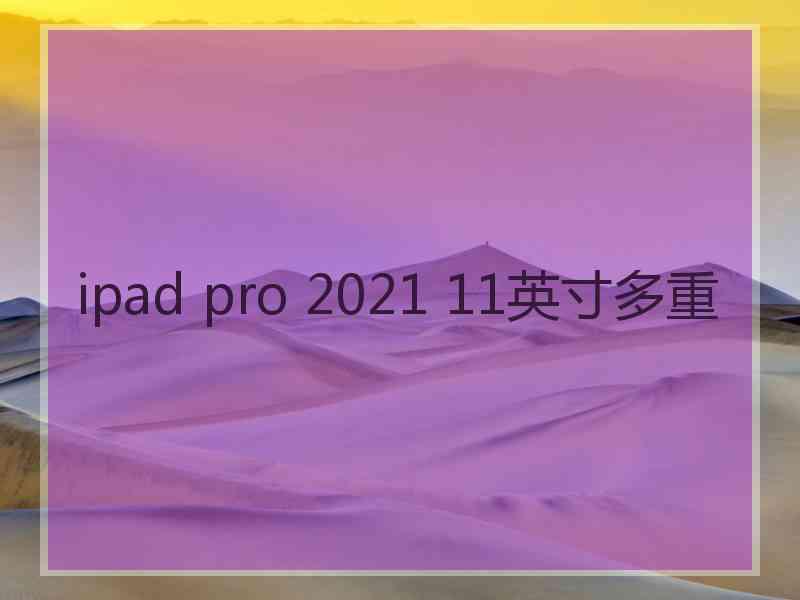 ipad pro 2021 11英寸多重