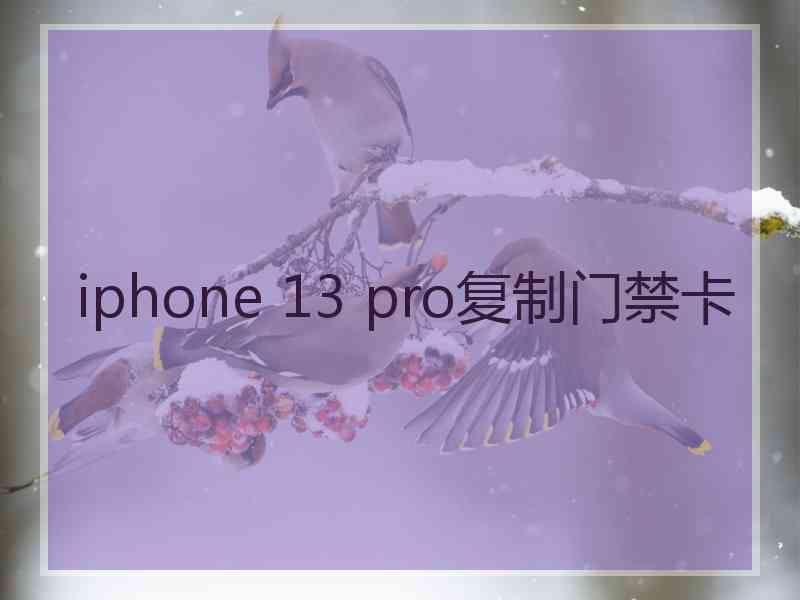 iphone 13 pro复制门禁卡