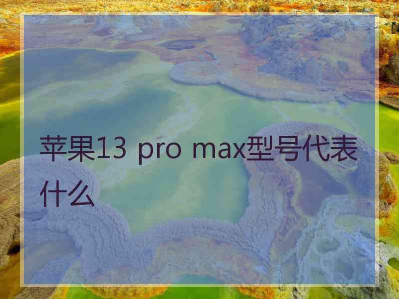 苹果13 pro max型号代表什么