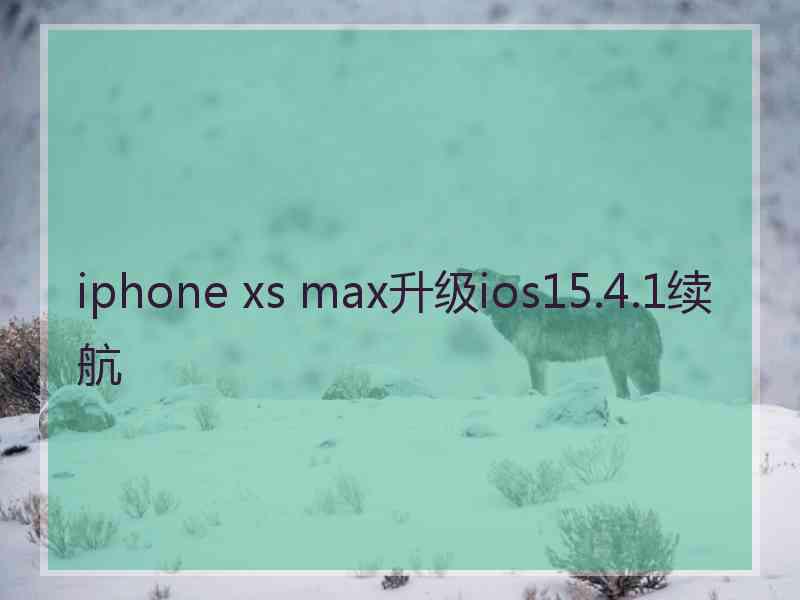 iphone xs max升级ios15.4.1续航