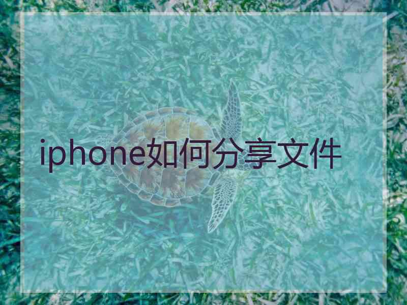 iphone如何分享文件