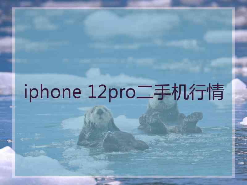 iphone 12pro二手机行情