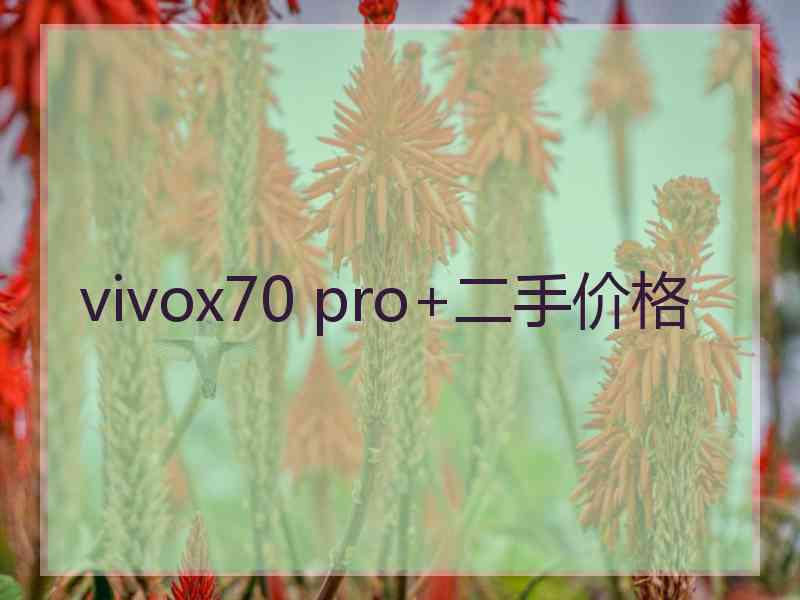 vivox70 pro+二手价格