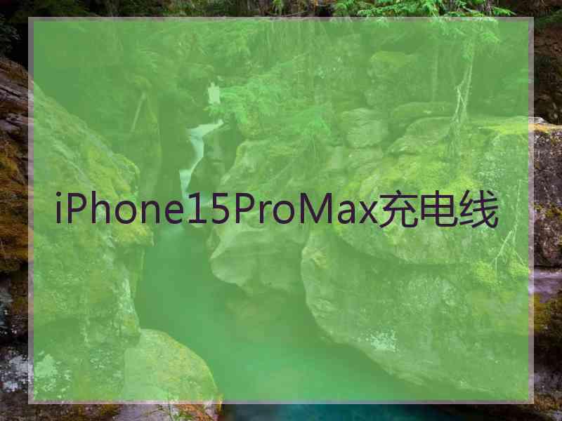 iPhone15ProMax充电线