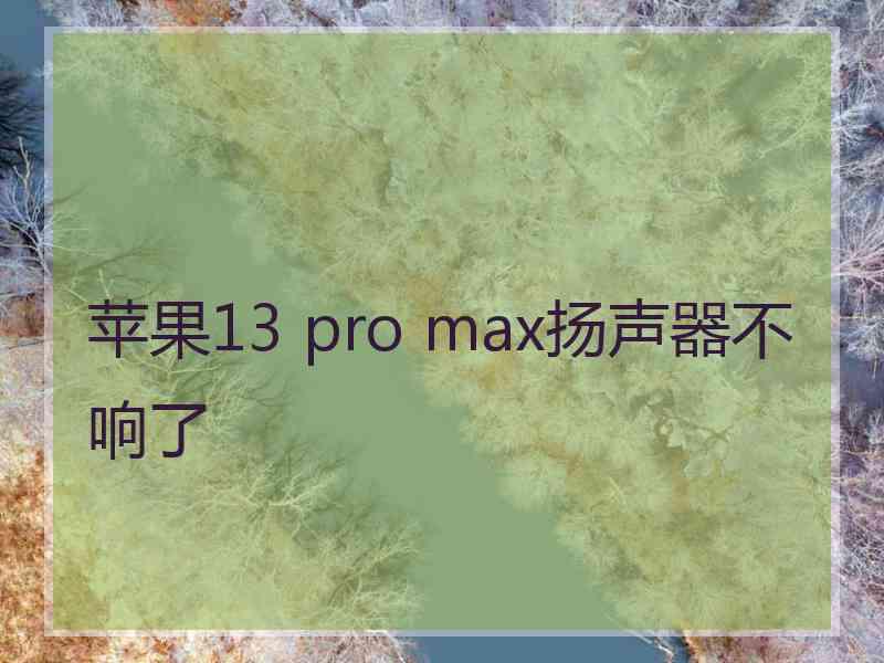 苹果13 pro max扬声器不响了