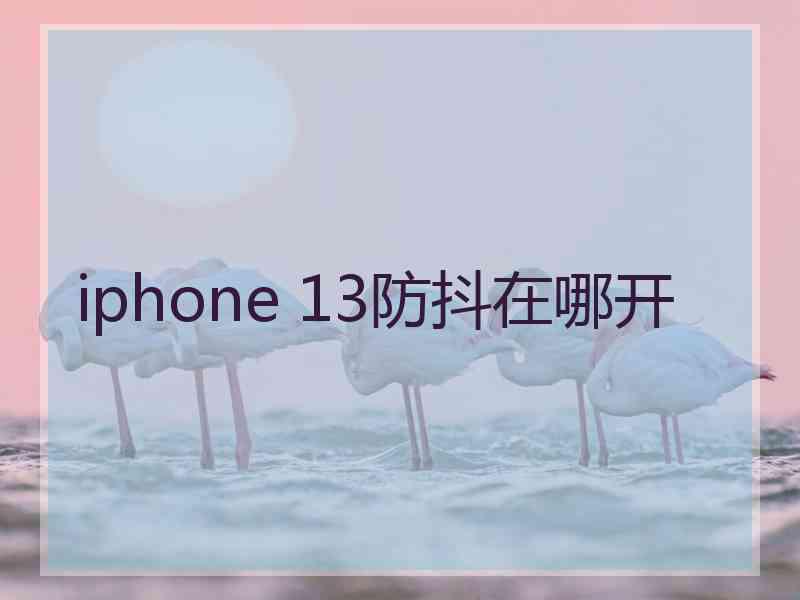 iphone 13防抖在哪开