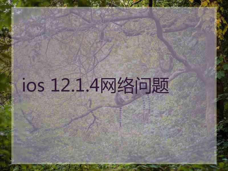 ios 12.1.4网络问题