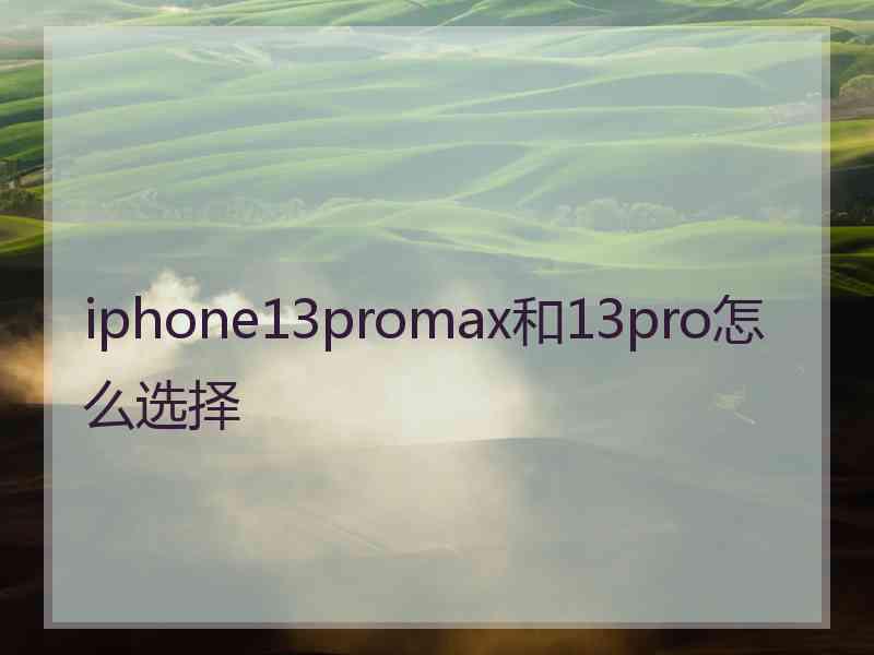 iphone13promax和13pro怎么选择