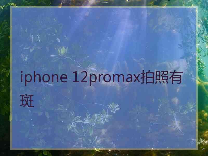 iphone 12promax拍照有斑