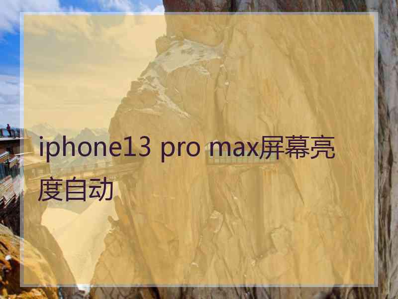 iphone13 pro max屏幕亮度自动