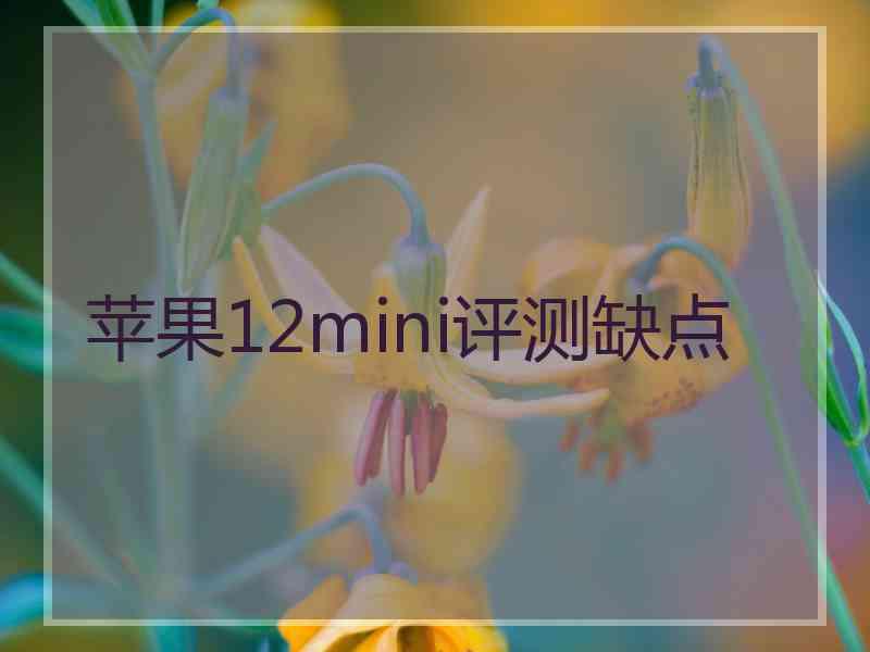 苹果12mini评测缺点