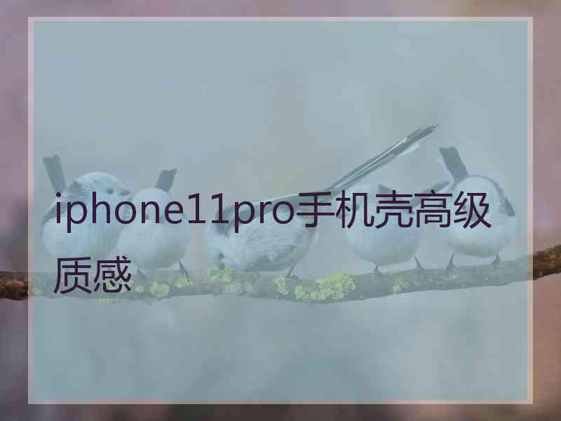 iphone11pro手机壳高级质感