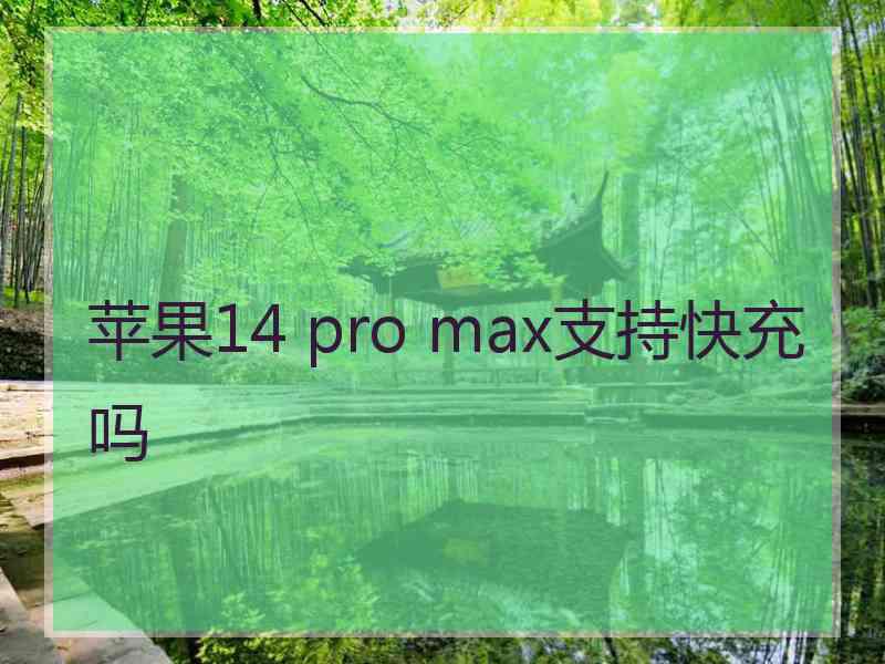 苹果14 pro max支持快充吗