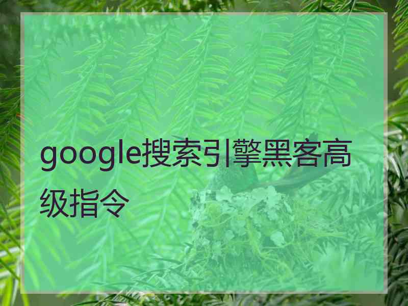 google搜索引擎黑客高级指令