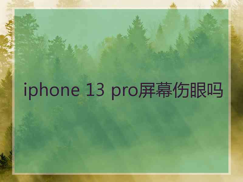 iphone 13 pro屏幕伤眼吗