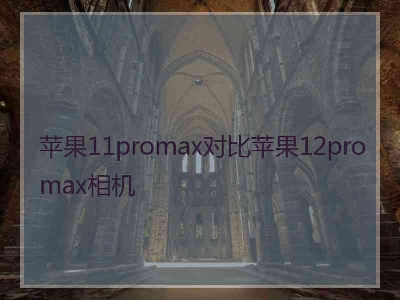 苹果11promax对比苹果12promax相机