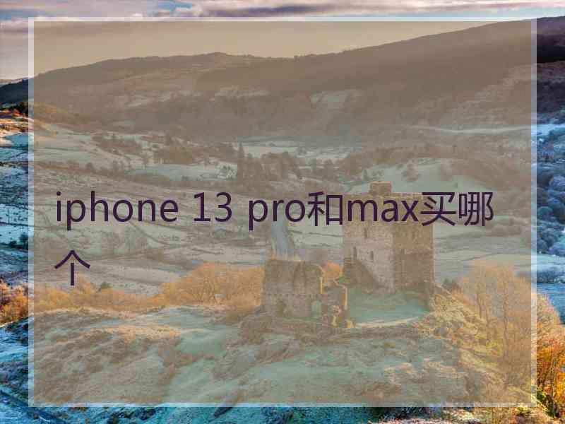 iphone 13 pro和max买哪个