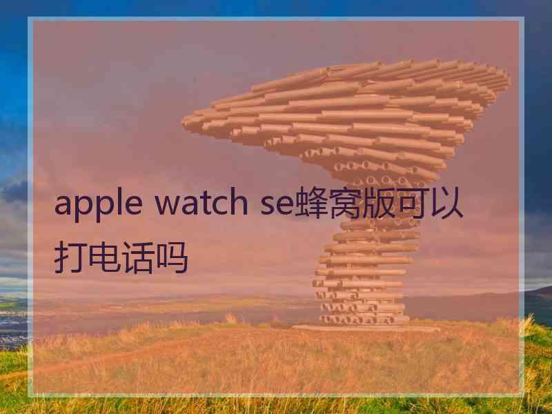 apple watch se蜂窝版可以打电话吗