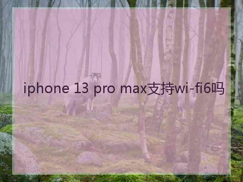 iphone 13 pro max支持wi-fi6吗