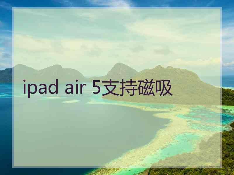 ipad air 5支持磁吸