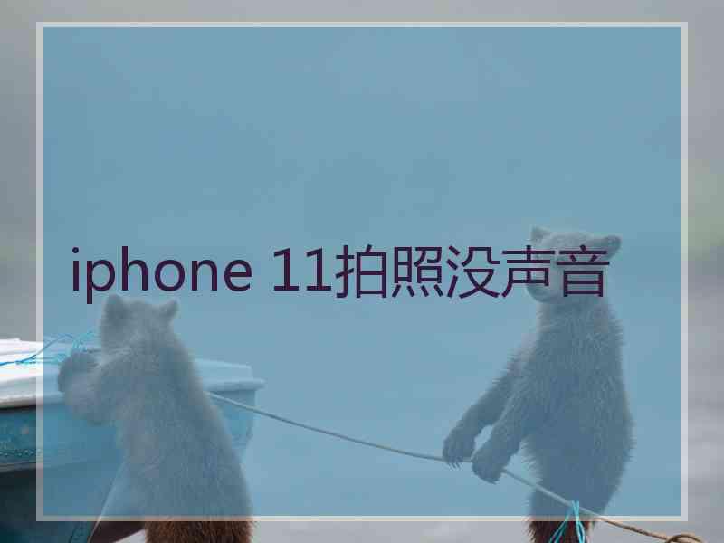 iphone 11拍照没声音