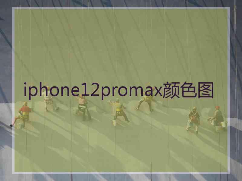 iphone12promax颜色图