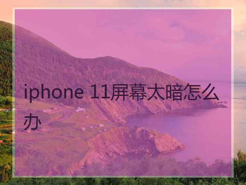 iphone 11屏幕太暗怎么办