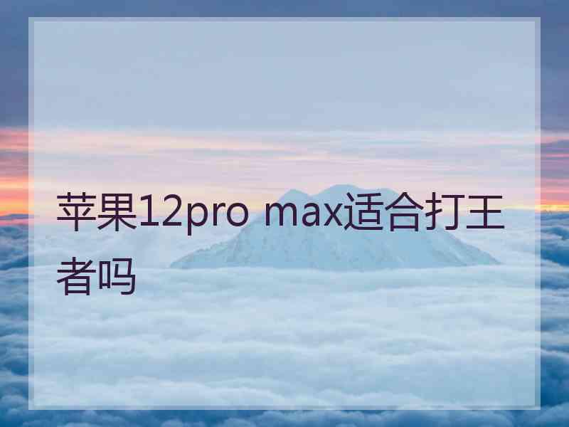 苹果12pro max适合打王者吗