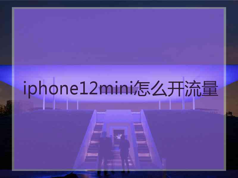 iphone12mini怎么开流量