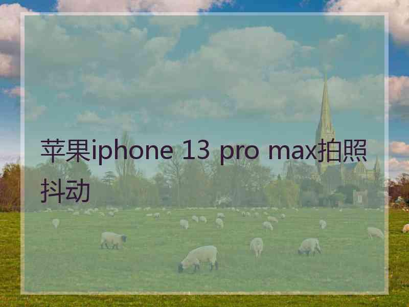 苹果iphone 13 pro max拍照抖动