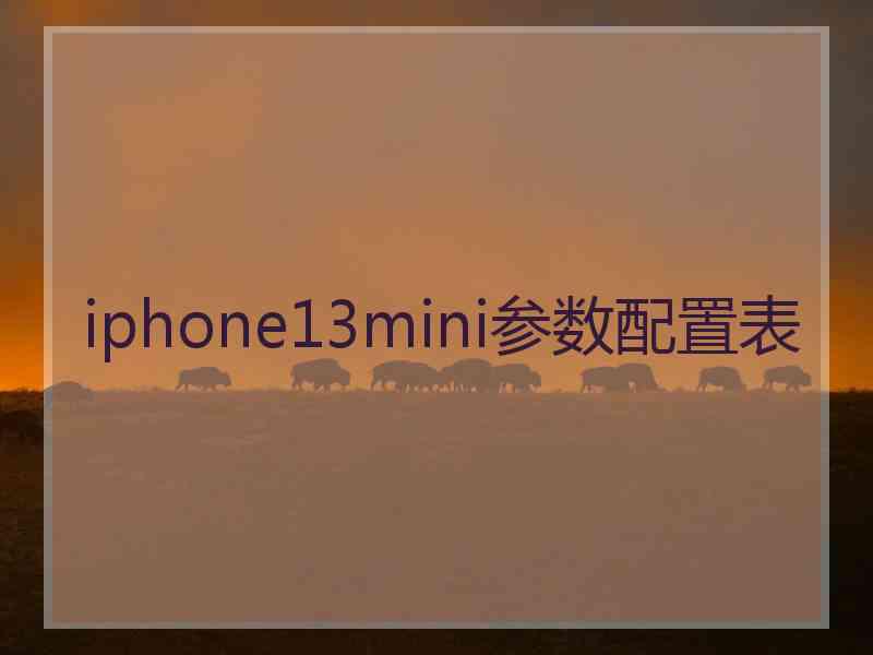 iphone13mini参数配置表