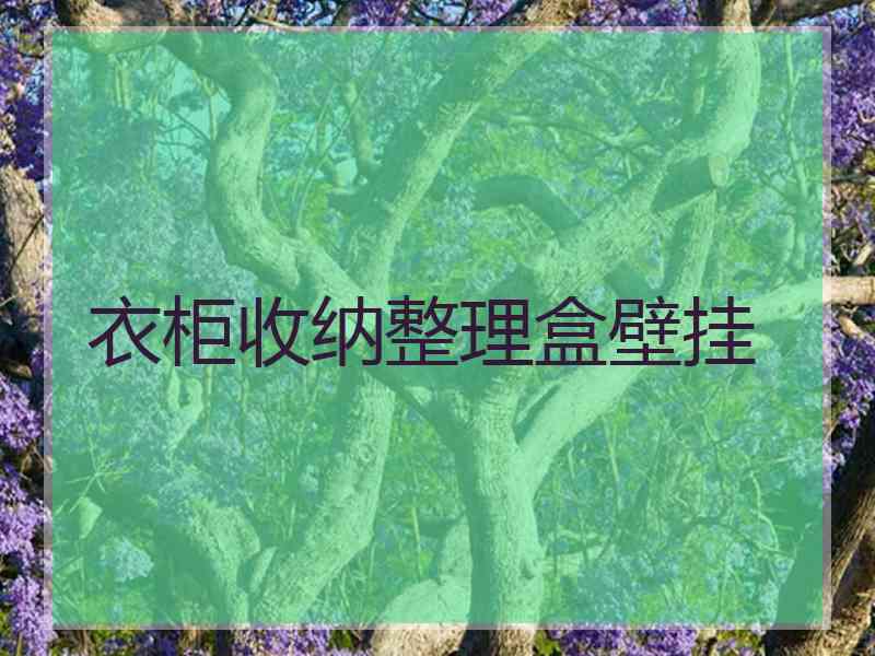 衣柜收纳整理盒壁挂