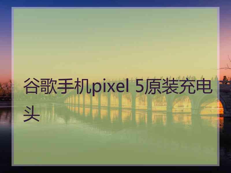 谷歌手机pixel 5原装充电头