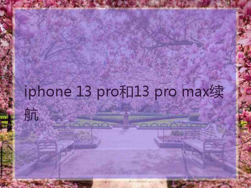 iphone 13 pro和13 pro max续航