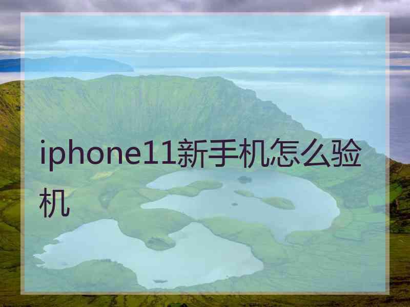 iphone11新手机怎么验机