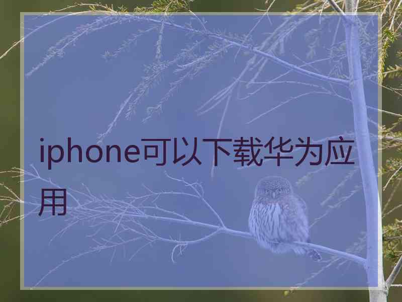 iphone可以下载华为应用