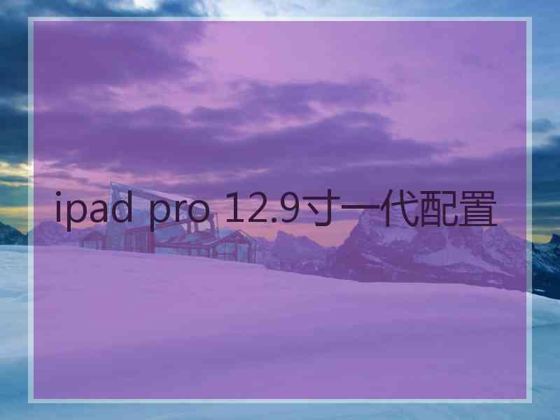 ipad pro 12.9寸一代配置