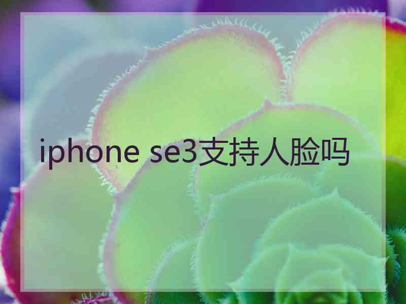 iphone se3支持人脸吗