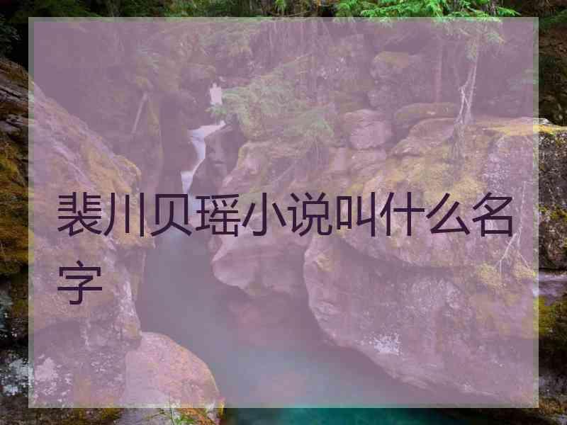 裴川贝瑶小说叫什么名字