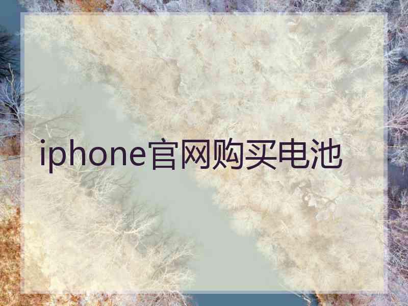 iphone官网购买电池