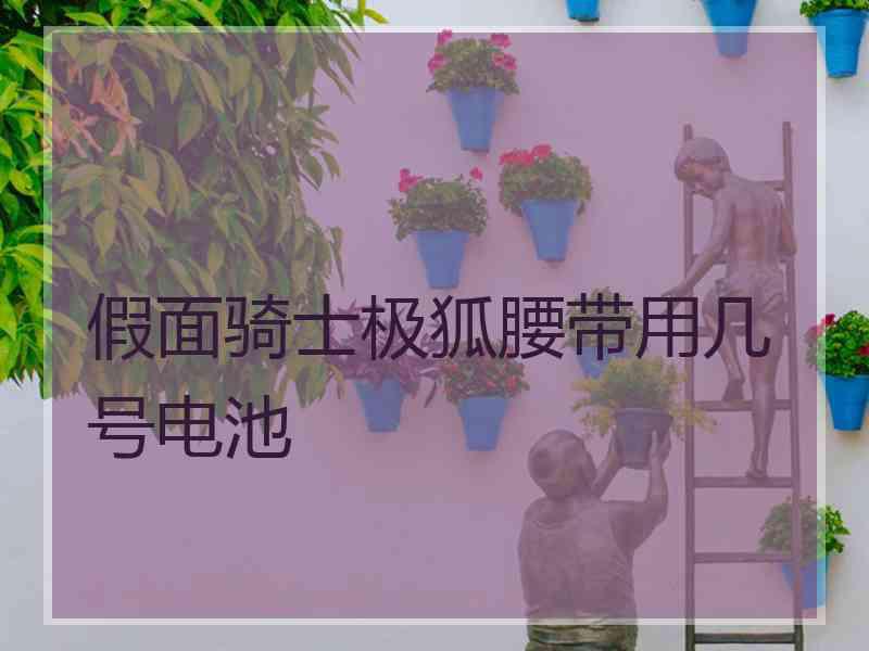 假面骑士极狐腰带用几号电池