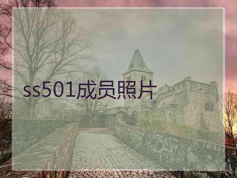 ss501成员照片