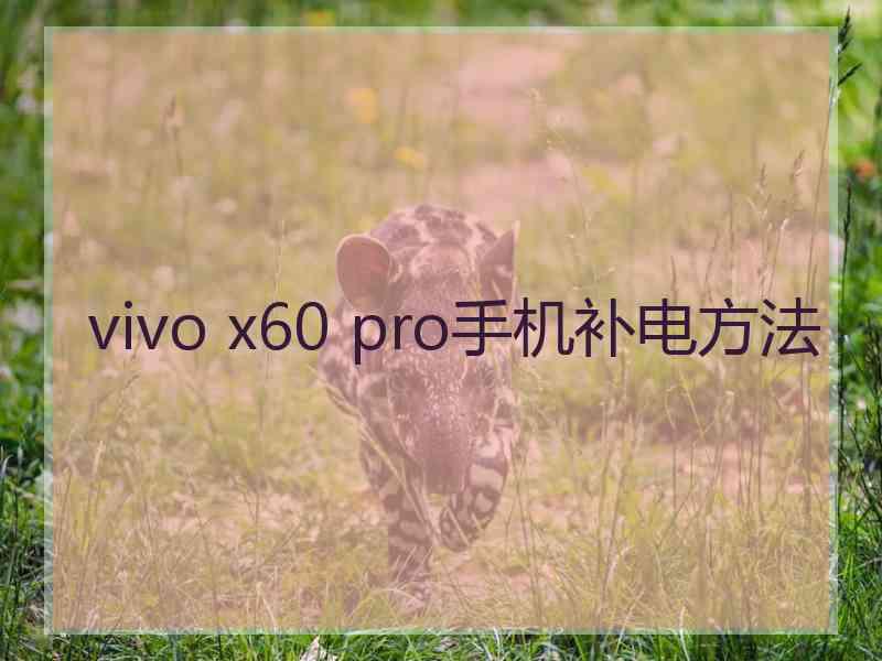 vivo x60 pro手机补电方法