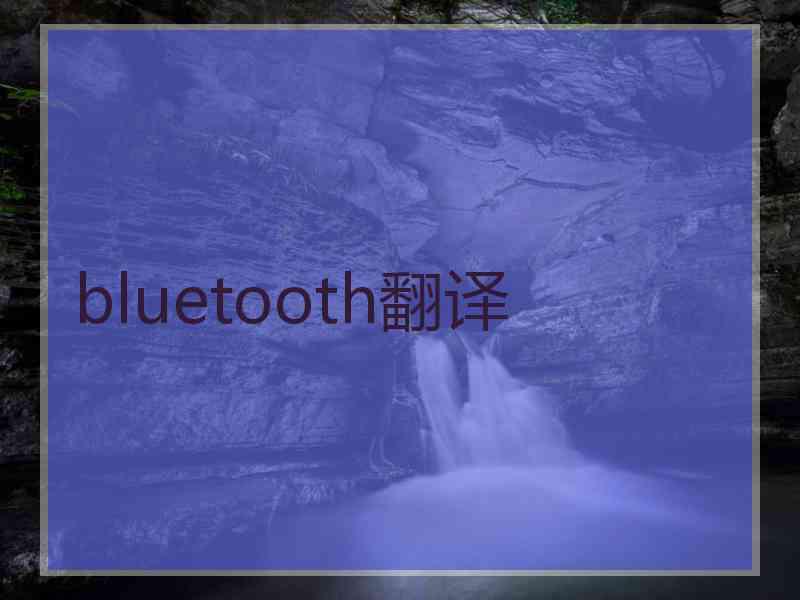 bluetooth翻译