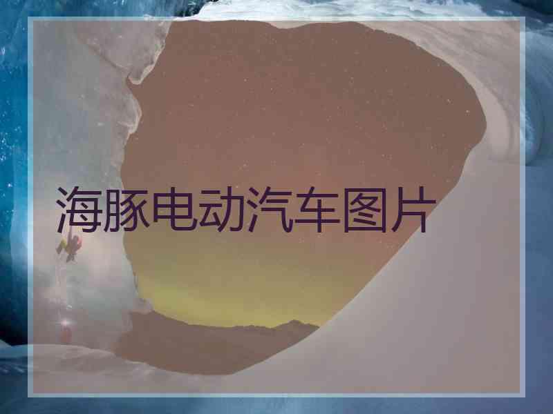 海豚电动汽车图片