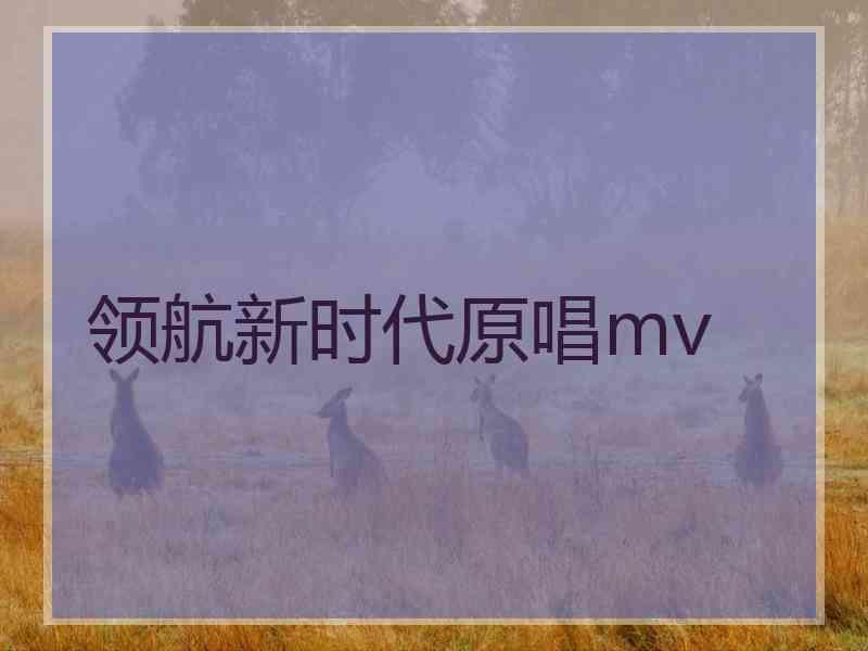 领航新时代原唱mv