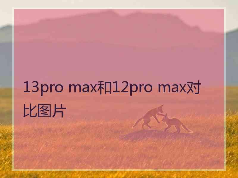 13pro max和12pro max对比图片